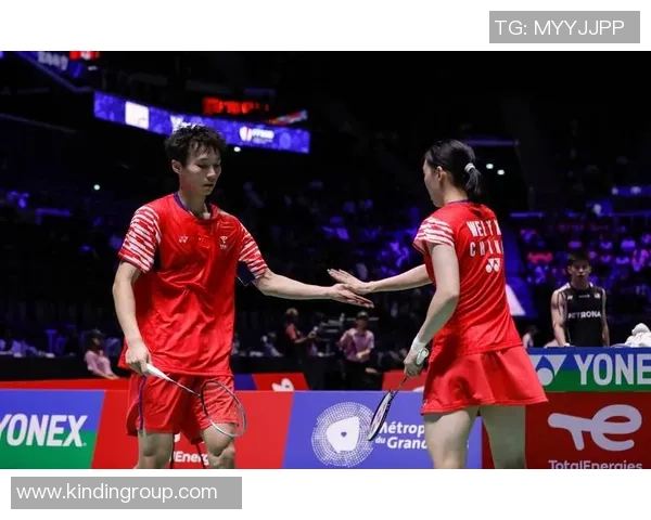 南京羽毛球队在世锦赛中的技术表现分析与未来发展展望