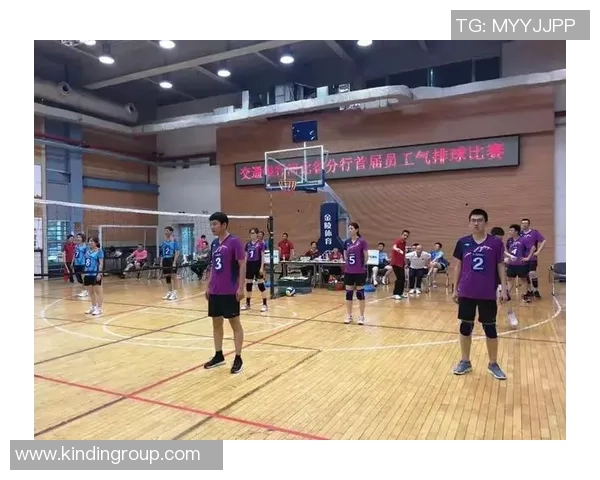 南京排球队的奋进之路：城市联赛中的拼搏与荣耀