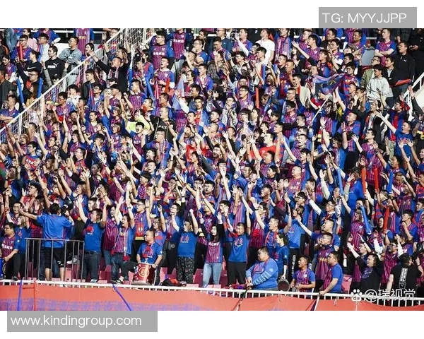 足球明星齐聚一堂高清图片展现球场魅力与激情瞬间