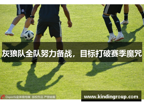 灰狼队全队努力备战，目标打破赛季魔咒