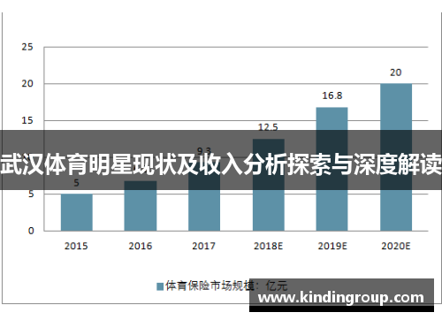 武汉体育明星现状及收入分析探索与深度解读